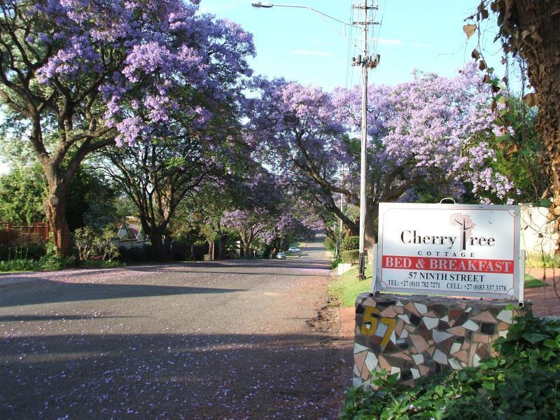 Cherry Tree Cottage B&B Linden Johannesburg Ngoại thất bức ảnh