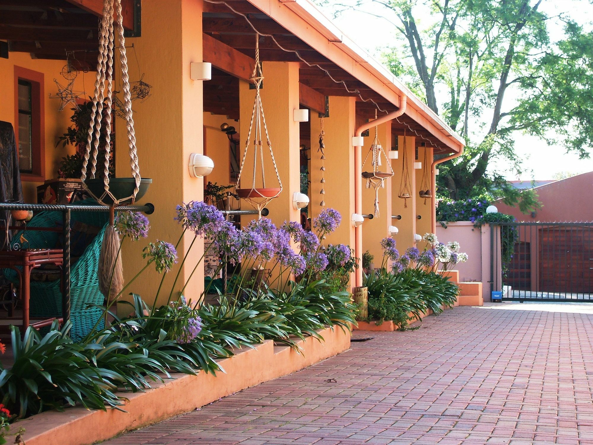 Cherry Tree Cottage B&B Linden Johannesburg Ngoại thất bức ảnh